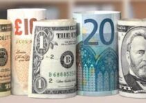 Cajas y bancos en moneda extranjera